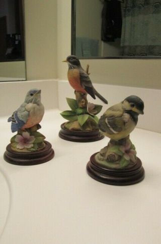 Set Of 3 Porcelain Birds (andrea By Sadek)