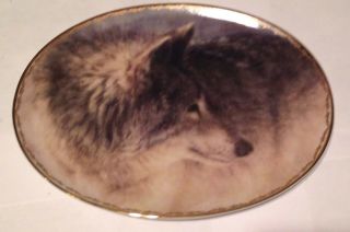 Wolf Plate The Bradford Exchange.  Oval Plate.  One Last Look 1st In Series