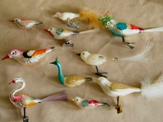 10 Vintage Mercury Glass Clip - On Bird Ornaments Peacock Parrot Swan