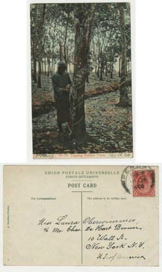 92.  Rare Postcard Malaysia Rubber Trees Stamp Cancel Penang - Nj 1905