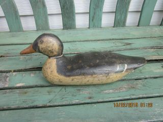 Vintage Mason Hen Mallard Duck Decoy Tack Eye