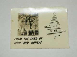 Postcard Pinup Risque Nude Girls - Merry Christmas From The Land Of Milk & Honey
