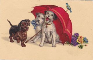Dackel Teckel Dachshund Terrier Old Dog Pc.  1933