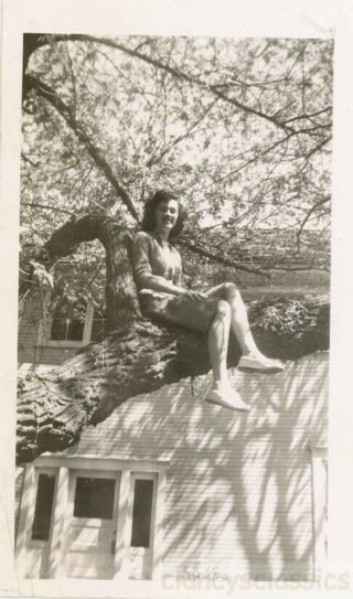 1940 Young Girl Sits Up In The Tree