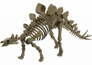 Pose Skeleton Dinosaur Series 103 Stegosaurus