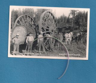 " Logging With Big Wheels " Redwoods,  Horses Lumberjacks Real Photo Postcard Rppc