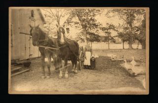 Mom,  Dad And Little Girl Pose W/animals In The Farmyard - C.  1890 Cabinet Photo