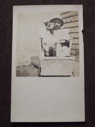 Young Boy With His Terrier Dog Sitting In Baby Carriage Vtg Real Photo Postcard