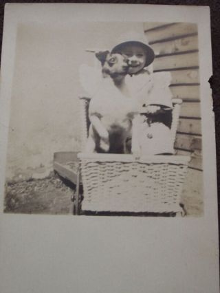 YOUNG BOY WITH HIS TERRIER DOG SITTING IN BABY CARRIAGE VTG REAL PHOTO POSTCARD 2