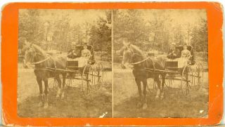 Old Orchard Me: Man & Woman In Horse - Drawn Carriage Z93