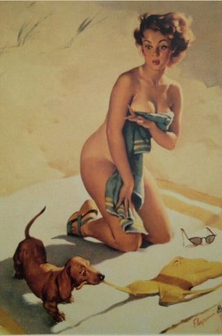 Girl With Dog Pinup Sexy Girl Woman Vintage Retro War Photo Ww2 Size 4x6 Q