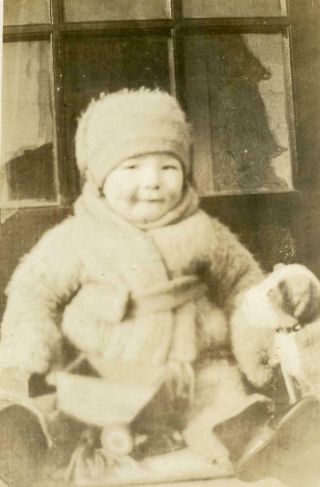 Kj184 Vtg Photo Baby In Mohair Coat & Hat,  Little Dog Profile C 1925