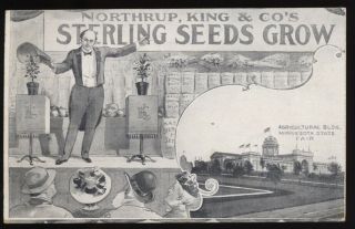 St Paul Mn C1910 Minnesota State Fair - Northrup,  King & Co.  Seeds Ad