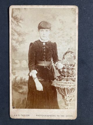 Victorian Carte De Visite Cdv: Child: Velvet Dress : A & G Taylor: Bradford