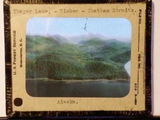 Thayer Lake,  Chatham Straits,  Magic Lantern Glass Slide (Alaska,  US Forest Serv) 2