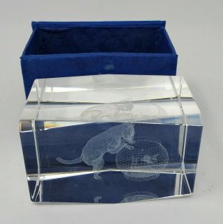 Clear Glass Cat Kitten And Fish Bowl 3d Etched Paperweight