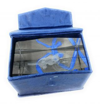 Clear Glass Cat Kitten and Fish Bowl 3D Etched Paperweight 2