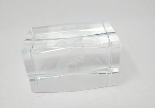 Clear Glass Cat Kitten and Fish Bowl 3D Etched Paperweight 3