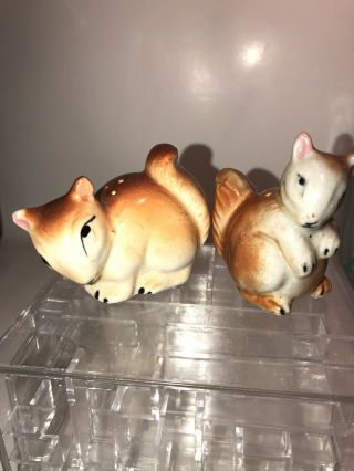 Vintage Adorable Brown & White Squirrels Salt And Pepper Shakers