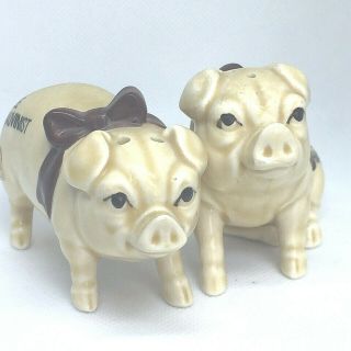Norcrest Hand Decorated Male Chauvinist Pigs Salt And Pepper Shaker Set Gag Gift