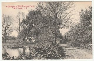 The Factory Pond,  Mill Neck,  Oyster Bay,  Long Island Ny,  Postcard (h.  O.  Korten)