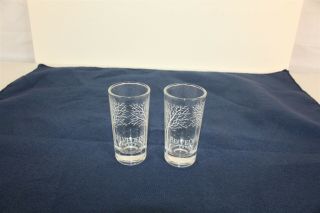 Belvedere 3 " Shot Glasses Clear Glass With White Design