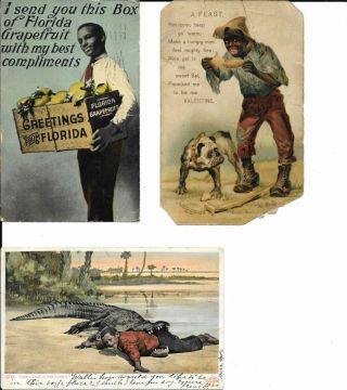 Black Americana Postcards 3 Man Box Grapefruit Man Corn Man Caught By Aligator
