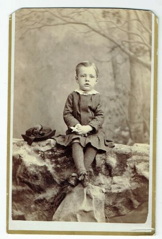 Victorian Cabinet Photo Child With Hat Lacenia Nh Usa Photographer