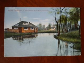 1907 - 15 Walla Walla Washington State Fish Hatchery In City Park Wash Postcard