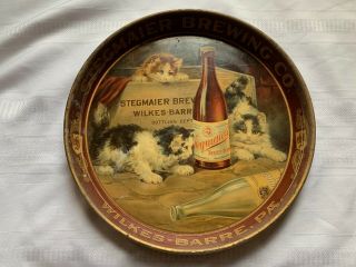 Stegmaier Beer Tray Brewing Company 1900 