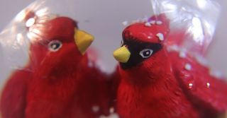 2 Red Cardinal Birds Lantern Snow Globe Christmas Plays Music - Jingle Bells 3