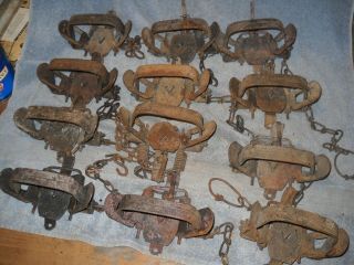 12 Victor 2 Coil Spring Traps Fox Size Animals