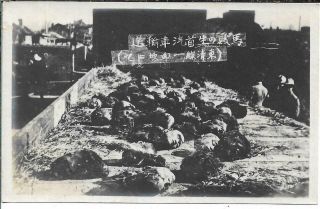 Antique Photo China Sino - Japanese War Severed Heads Bandits Behead By Train