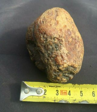 Old Vintage Natural Baltic Amber Raw Stone Toffee Butterscotch 103 gr 3