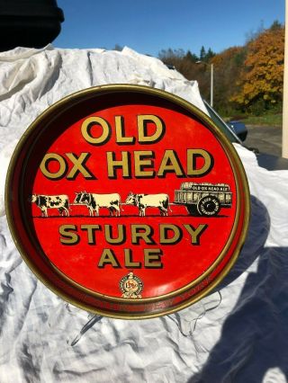 Old Ox Head Sturdy Ale Beer Tray Standard Brewing Rochester York