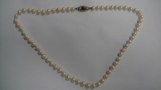Vintage Akoya Cultured Pearl Necklace 9ct Gold Garnet Pearl Clasp