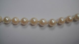 VINTAGE AKOYA CULTURED PEARL NECKLACE 9CT GOLD GARNET PEARL CLASP 2