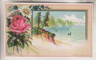 Vintage Trade Card - The Great Atlantic & Pacific Tea Co 619 Penn St Reading Pa