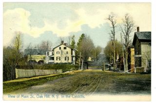 Oak Hill Ny - Main Street Scene - Postcard Catskills Near Durham