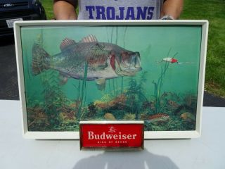 Budweiser Largemouth Bass Lighted Sign.