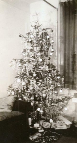 Ya216 Vintage Photo Christmas Tree C Mid Century