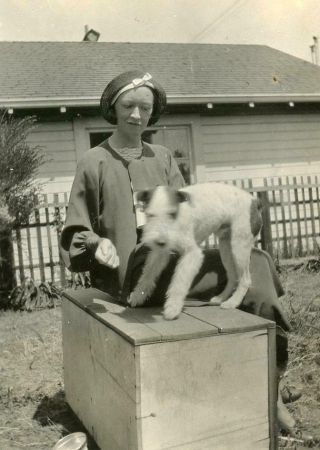 R969 Vtg Photo Woman With Fox Terrier Dog C Early 1900 