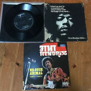Jimi Hendrix & The Doors Record Bundle