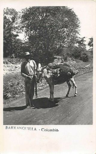 Barranquilla,  Colombia,  Man & His Loaded Donkey,  Real Photo Pc C 1930 