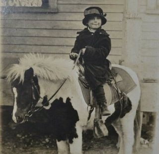 Photo Little Edwardian Girl On Pinto Pony Antique 19thc