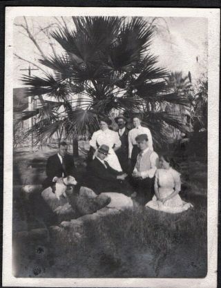 Vintage Photograph 1911 - 12 Girls Pit - Bull Terrier Dog Puppy Tucson Arizona Photo