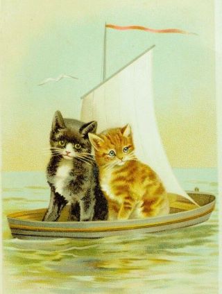 Lovely Adorable Kittens In A Sail Boat On The Ocean Victorian Card P63