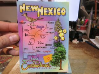 Vintage Old Mexico Postcard Cartoon State Map Land Of Enchantment Hobbs Bird