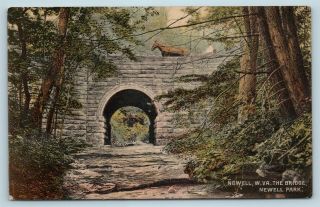 Postcard Wv Newell Horse & Buggy Crossing The Bridge In Newell Park 1910 W14