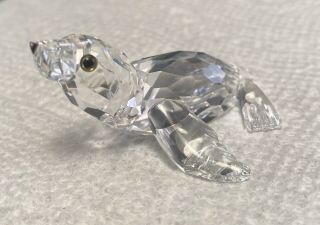 Swarovski Crystal Figurine Baby Seal Sea Lion Pup 7661 Nr 000 004 7663 Mib
